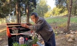 Motosikletle okula götürdüğü kızını kazada kaybetti, mezarına diktiği çiçeklere hırsızlar musallat oldu