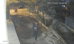 Osmaniye’de kümeslerden tavuk çalan zanlı tutuklandı