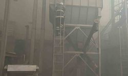 Reyhanlı’da fabrika yangını