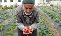 Türkiye onu yoldan geçenlere bahçesinden ikram ettiği meyvelerle tanıdı, bugün acı haber geldi
