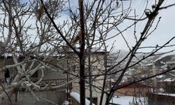 52 yılın en kurak zamanını geçiren çiftçi yağışlarla sevindi: İkinci üründe su sıkıntısı yaşanmayacak