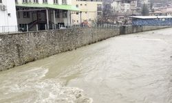 Adana'da kuruyan dereler yağışla coşmaya başladı