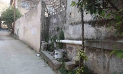 Annesinin telefon çaldırdığı çocuk devlet korumasına alındı