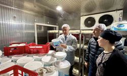 Antakya'da süt ürünleri üreten firma incelendi