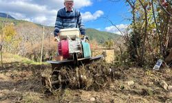 Antalya'da 82 yaşındaki yeminli mali müşavirden köy hayatına örnek proje