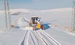 Kahramanmaraş'ta kar temizliği