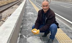 Karayolunun kenarında beyaz örtü oluşturan tırlardan dökülen gübreler, fırçalarla toplanarak bahçelerde değerlendiriliyor