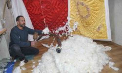 Son hallaçlar, teknolojiye direniyor