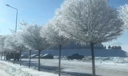 Tufanbeyli'de eksi 20 derecede kartpostallık manzara