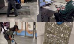 Uçakla gelen yolcunun valizindeki mısır gevreği kutularından uyuşturucu çıktı