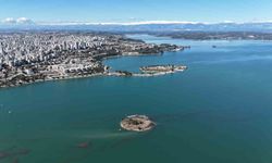 Adana'da gölde su seviyesi yükseldi, Sevgi Adası yolu kayboldu