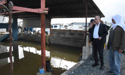 Başkan Yapar, aşırı yağışla birlikte sular altında kalan Aşağıoba Mahallesi'nde incelemelerde bulundu