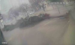 Fırtına dev ağaçları kökünden söktü, o anlar kameraya yansıdı