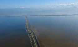 Kahramanmaraş'ta binlerce dönüm tarım arazisi sular altında kaldı