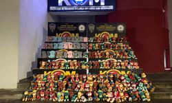 Sağlığa zararlı olabileceği değerlendirilen bin 515 kaçak pelüş oyuncak ele geçirildi