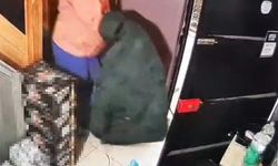 Sahibiyle samimiyet kurduğu iş yerinden önce çöpleri, sonra 250 karton sigarayı çıkarttı