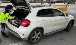 Trafik denetiminde sahte avukat kimliği gösteren şahıs yakalandı