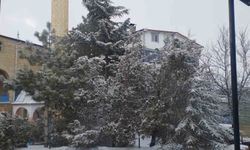 Adana'da kar sürprizi