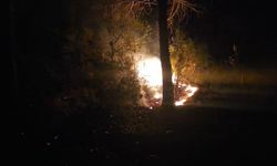 Alanya'da ormanlık alanda çıkan yangın büyümeden söndürüldü