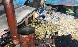 Sobadan sıçrayan kıvılcımlar evi ve çadırı alevlere teslim etti