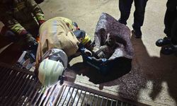 Su giderine yavrulayan anne kedi ve yavrularını itfaiye kurtardı