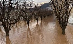 Elmalı'da dereler taştı, tarım alanları sular altında kaldı