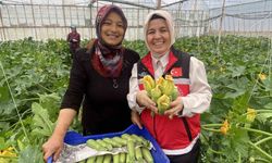 Kadın çiftçi hem üretiyor hem ihraç ediyor hem de pazarda satıyor