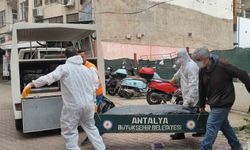 Kaldığı pansiyon odasında ölü olarak bulundu