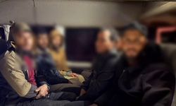 Minibüsle 14 göçmeni kaçıran organizatöre 124 bin TL trafik cezası