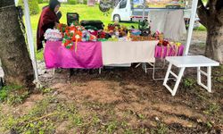 Portakal Çiçeği Karnavalı'na yağmur engeli