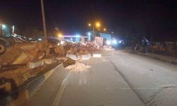 Virajı alamayan tır devrildi saman balyaları yola saçıldı: 1 yaralı