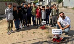 Adana'nın köstebek yuvasına dönen yollarına çiçek diktiler