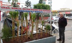 Annesinin çok sevdiği çiçeği, iş yerinin önünde mezarı andıran alanda 40 yıldır yaşatıyor
