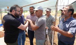 Antalya'da kurban pazarında son kozlar oynandı: 'Zor belayla aldık, çok pazarlığını yaptık'