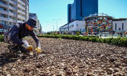 Büyükşehirden kuraklığa karşı sürdürülebilir peyzaj