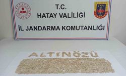 Hatay'da Jandarma'dan geniş çaplı asayiş operasyonu
