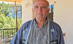Mantar toplamaya çıkmıştı, ormanda ölü bulundu