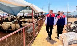 Mersin'de Kurban Bayramı öncesi satış noktalarında sıkı denetim