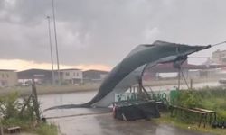 Adana'da kuvvetli rüzgar ve yağış ekili oldu, seralar zarar gördü