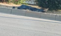Adana'da minibüsün çarptığı yaya hayatını kaybetti