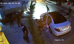 Antalya'da silahlı suç örgütü operasyonunda 33 tutuklama