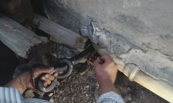 Bakmaya bile korkanlar varken o koluna dolanan 1 buçuk metrelik 2 yılanı saklandığı delikte yakaladı