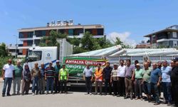 Büyükşehir'den Gazipaşalı üreticilere naylon desteği