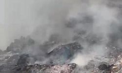 Çöp döküm alanındaki yangın ormana sıçradı