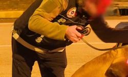 Isparta'da narkotikten bir haftada 18 operasyon, 3 tutuklama