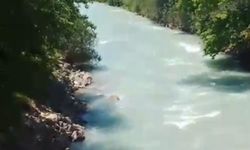 Kaybolduğu yerde son çektirdiği fotoğrafı ortaya çıktı