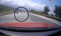 Otobanda yola fırlayan angus korku dolu anlar yaşattı