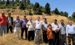 1200 rakımlı dağ köylerinde imece usulü hasat