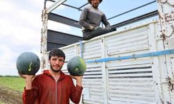 Adana'da karpuz hasadında sona gelindi