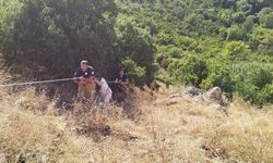 Defne'de indiği uçurumdan çıkamayan vatandaşı itfaiye kurtardı
